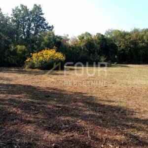 Istra, Poreč - okolica, poljoprivredno zemljište, 2.663m2