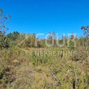 Istra, Poreč - okolica, poljoprivredno zemljište, 27.086m2