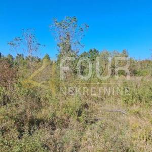 Istra, Poreč - okolica, poljoprivredno zemljište, 27.086m2