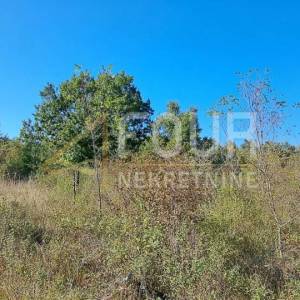 Istra, Poreč - okolica, poljoprivredno zemljište, 27.086m2