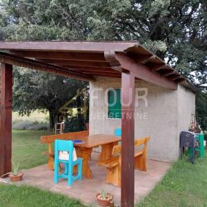 Istra, Poreč - okolica, poljoprivredno zemljište 26.600m2