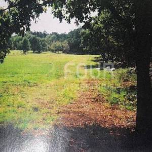 Istra, Poreč, poljoprivredno zemljište, 29.400m2