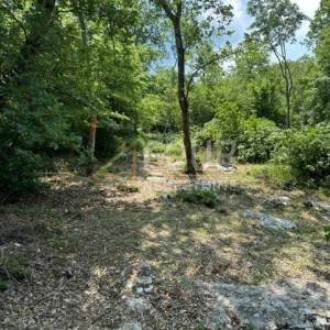 Istra, Poreč, poljoprivredno zemljište 4.756m2