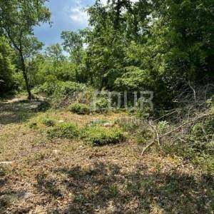 Istra, Poreč, poljoprivredno zemljište 4.756m2