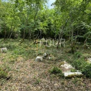 Istra, Poreč, poljoprivredno zemljište 4.756m2