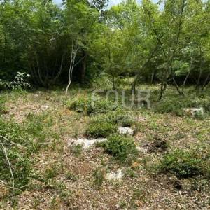 Istra, Poreč, poljoprivredno zemljište 4.756m2