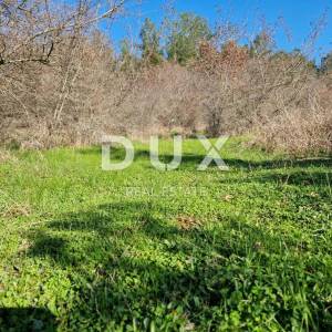 ISTRA, POREČ - Prostrano poljoprivredno zemljište