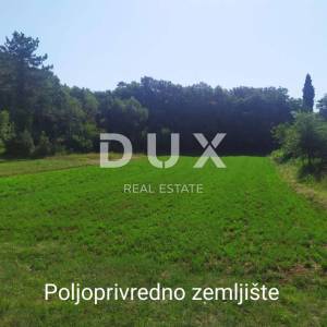 ISTRA, POREČ, TINJAN - atraktivni građevinski teren 2269 m2