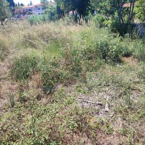 ISTRA, PREMANTURA - Građevinsko zemljište 1300 m2