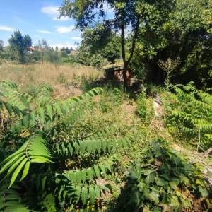 ISTRA, PREMANTURA - Građevinsko zemljište 1300 m2