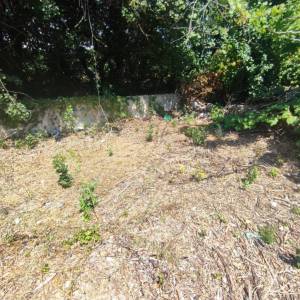 ISTRA, PREMANTURA - Građevinsko zemljište 1300 m2