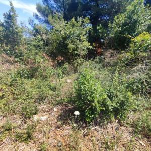 ISTRA, PREMANTURA - Građevinsko zemljište 1300 m2
