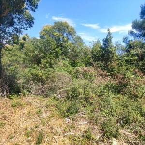 ISTRA, PREMANTURA - Građevinsko zemljište 1300 m2