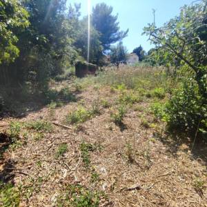 ISTRA, PREMANTURA - Građevinsko zemljište 1300 m2