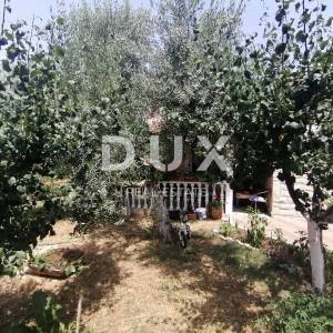 ISTRA, PULA - dvije obiteljske kuće 