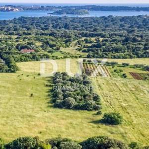 ISTRA, PULA - Građevinsko zemljište 600 metara od mora