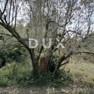 ISTRA, PULA - Građevinsko zemljište u Banjolama 2020 m2 - PRVI RED DO MORA!