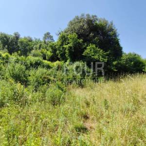 Istra, Pula - okolica, poljoprivredno zemljište 2.595m2