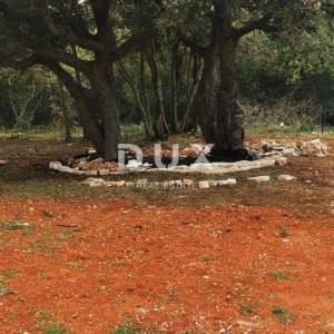 ISTRA, PULA - Posebna poljoprivredna parcela s pogledom!