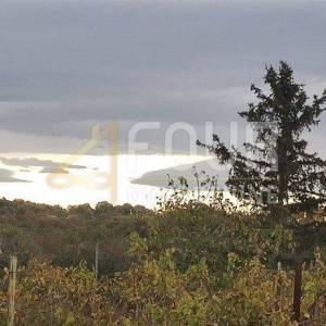 Istra, Pula, Valdebek, poljoprivredno zemljište 1.597m2