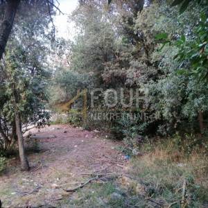 Istra, Pula - Veruda, zemljište 1.553m2