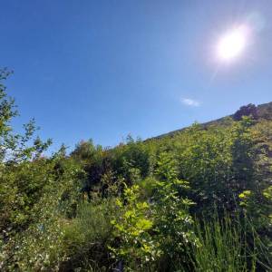 ISTRA, RABAC - Građevinsko zemljište s panoramskim pogledom na more