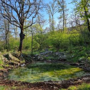 ISTRA, RABAC - Prostrano imanje na očaravajućoj lokaciji