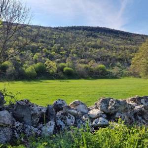 ISTRA, RABAC - Prostrano imanje na očaravajućoj lokaciji