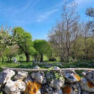 ISTRA, RABAC - Prostrano imanje na očaravajućoj lokaciji