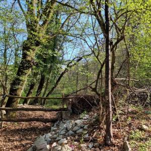 ISTRA, RABAC - Prostrano imanje na očaravajućoj lokaciji
