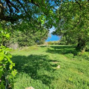 ISTRA, RABAC - Prostrano imanje na očaravajućoj lokaciji