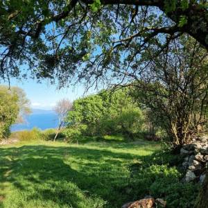 ISTRA, RABAC - Prostrano imanje na očaravajućoj lokaciji