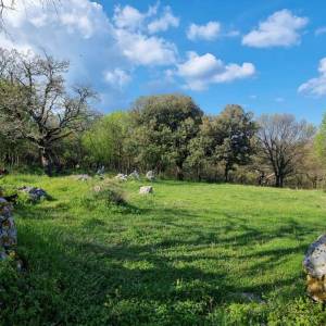 ISTRA, RABAC - Prostrano imanje na očaravajućoj lokaciji