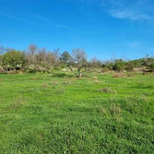 ISTRA, RABAC - Prostrano imanje na očaravajućoj lokaciji