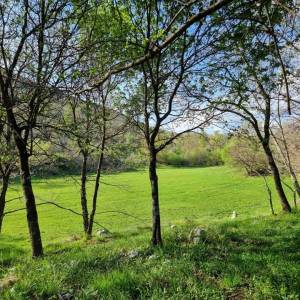 ISTRA, RABAC - Prostrano imanje na očaravajućoj lokaciji