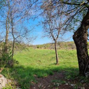 ISTRA, RABAC - Prostrano imanje na očaravajućoj lokaciji