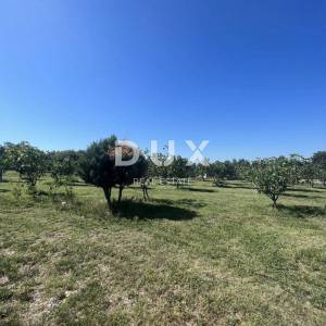 ISTRA, RAKALJ - Građevinsko zemljište u blizini mora