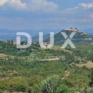 ISTRA, RAKOTULE - Građevinsko zemljište s kućom i pogledom na Motovun - prilika za investiciju!