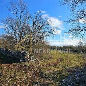 Istra, Raša, poljoprivredno zemljište 3.669m2