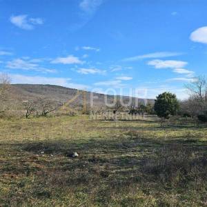 Istra, Raša, poljoprivredno zemljište 3.669m2