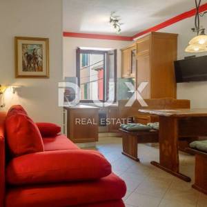 ISTRA, ROVINJ - 2SS+DB stan smješten prvi red do mora s privatnom plažom