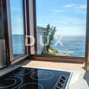 ISTRA, ROVINJ - 2SS+DB stan smješten prvi red do mora s privatnom plažom