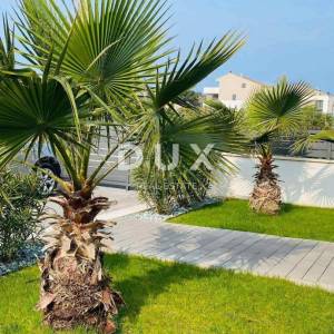 ISTRA, ROVINJ - 3SS+DB apartman nadomak plaža i centra grada