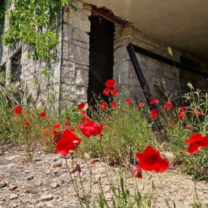 ISTRA, ROVINJ - Impresivna starina na prostranom imanju