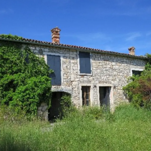 ISTRA, ROVINJ - Kompleks zemljišta s impresivnom starinom