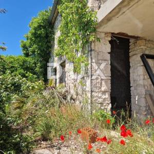 ISTRA, ROVINJ - Kompleks zemljišta s impresivnom starinom