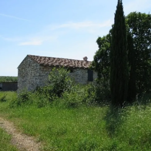ISTRA, ROVINJ - Kompleks zemljišta s impresivnom starinom