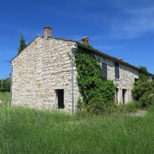 ISTRA, ROVINJ - Kompleks zemljišta s impresivnom starinom