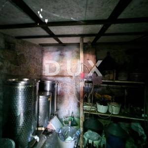ISTRA, ROVINJ - Kuća s prekrasnim vinogradom i maslinikom