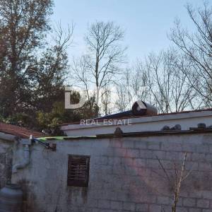 ISTRA, ROVINJ - Kuća s prekrasnim vinogradom i maslinikom